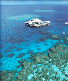 Quicksilver Snorkelling