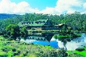 cradle mountain spa escapes