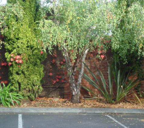 Exterior - Gardens
- Grosvenor Court Apartments