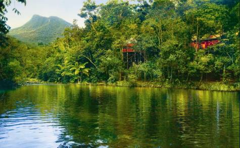 Daintree Rainforest
 - Silky Oaks Lodge