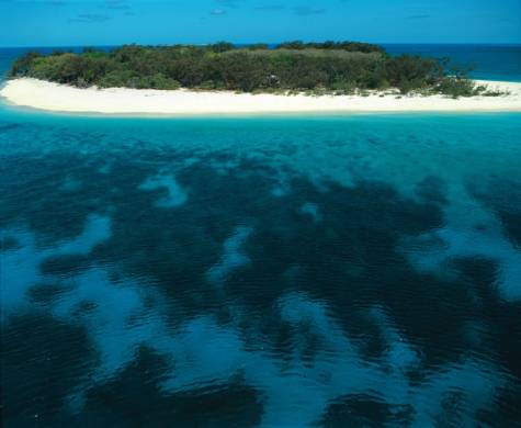 Wilson Island
- Wilson Island Resort
