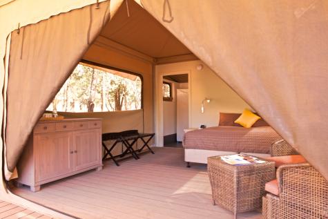 Ikara Safari Tent
 - Discovery Resorts â Wilpena Pound