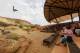 Alice Springs Desert Park
 - Admission Alice Springs Desert Park