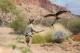 Alice Springs Desert Park
 - Admission Alice Springs Desert Park