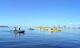 Queensland Tours, Cruises, Sightseeing and Touring - GC: Morning Dolphin Kayaking & Snorkelling Tour w Breakfast