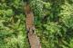 Darwin Tours, Cruises, Sightseeing and Touring - Litchfield National Park Tour with Wetlands