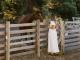 The Sanctuary horses
- Bayside Glamping & Co