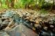 Badger Creek  - BIG4 Yarra Valley Park Lane Holiday Park