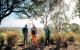 Queensland Tours, Cruises, Sightseeing and Touring - Explore Roma Town Half Day Tour - Senior - BBE-ERT