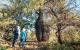 Bottle Tree on Mt Abundance, Queensland
 - Explore Roma Town Half Day Tour - Senior - BBE-ERT Boobook Explore