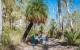 Cycad grove, Carnarvon Ranges, Queensland
 - Explore Roma Town Half Day Tour - Senior - BBE-ERT Boobook Explore