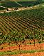Sydney City Centre Tours, Cruises, Sightseeing and Touring - Unchartered Blue Mountains - BBMT