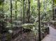 Maiala Rainforest Tour
 - Bellthorpe Rainforest Tour Brisbane Nature Tours