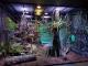 Rainforest  - Night at the Aquarium Tour & 2 Course Dinner Cairns Aquarium