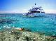 
 - Day Cruise to Great Barrier Reef - Introductory Dive Calypso Snorkel and Dive