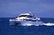
 - Day Cruise to Great Barrier Reef - Introductory Dive Calypso Snorkel and Dive