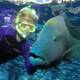Diver
 - Day Cruise to Great Barrier Reef - Introductory Dive Calypso Snorkel and Dive