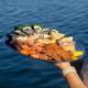 Seafood platter upgrade
 - Sunset Cruise Coastal Cruises Mooloolaba