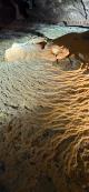 Pattens formed over millions of years
 - Heritage & Hidden Treasures - Naracorte Caves & Yallum Pvt T Coonawarra Experiences