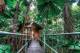Cabin
 - Daintree Wilderness Lodge