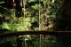 Pool
 - Daintree Wilderness Lodge
