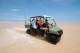 Driving
 - Broome to Eco Beach Resort - Seat in Coach (One Way) Eco Beach Wilderness Retreat
