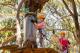 Adult & child on the Grand Tree Surfing course - Tree surfing High Ropes Experience - 2 hours Enchanted Adventure Garden