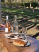 Busselton Tours, Cruises, Sightseeing and Touring - South West Trail Full Day Tour