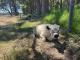 Meet farm animals - South West Trail Full Day Tour Forage Safaris