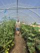 Forage Safaris organic garden tour - South West Trail Full Day Tour Forage Safaris