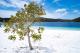 Lake McKenzie
 - K'gari Day Tour - Noosa to Rainbow Beach Discovery K'Gari Adventures