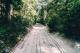 Rainforest Drive
 - K'gari Day Tour - Noosa to Rainbow Beach Discovery K'Gari Adventures