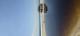 Bribie Island 
 - Bribie Island 4x4 Adventure tour G'Day Adventure Tours
