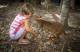 Palm Cove Tours, Cruises, Sightseeing and Touring - Reptastic 5 -  incl transfers from Palm Cove