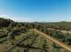 Farm Aerial View - High Valley Dawn Permaculture Farm