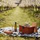 Hobart and Sth East Accommodation, Hotels and Apartments - Iron Creek Bay Farm Stay