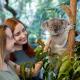 Brisbane Koala Sanctuary Visit - Best of Brisbane - ex Brisbane Kiff & Culture