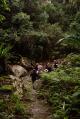 Brisbane City and Surrounds Tours, Cruises, Sightseeing and Touring - Bush Tucker Walk in the Hinterland - ex Brisbane