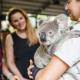 Wildlife Sanctuary Koala - Gold Coast in a Day - ex Gold Coast Kiff & Culture