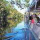 Noosa Everglades Cruise - Noosa in a Day Kiff & Culture