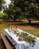 Far Nth Coast Tours, Cruises, Sightseeing and Touring - Northern Rivers Farm Gate Trail - ex Tweed Valley