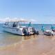 Island Ferry
 - Mackerel Islands