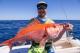 Fishing
 - Mackerel Islands
