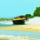 Beach
 - 30 minute Jet Blast Jetboat Ride with Transfers Paradise Jetboating