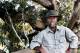 Phillip Is./Gipps Sth Tours, Cruises, Sightseeing and Touring - Guided Koala Tour