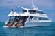Cairns Tours, Cruises, Sightseeing and Touring - Poseidon - Snorkelling ex Cairns Hotel