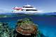 Port Douglas Tours, Cruises, Sightseeing and Touring - Poseidon Outer Reef Cruise - Snorkelling Ex Port Douglas Htl