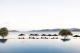Pebble Beach
- Qualia