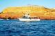 Red Bluff
 - Kalbarri Rocklobster Pot Pull Tour Reefwalker Ocean Discovery