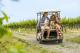 Luxury McLaren Vale private tours - A Truly Barossan Wine Experience ex Barossa - Private - EXBV Small Batch Wine Tours